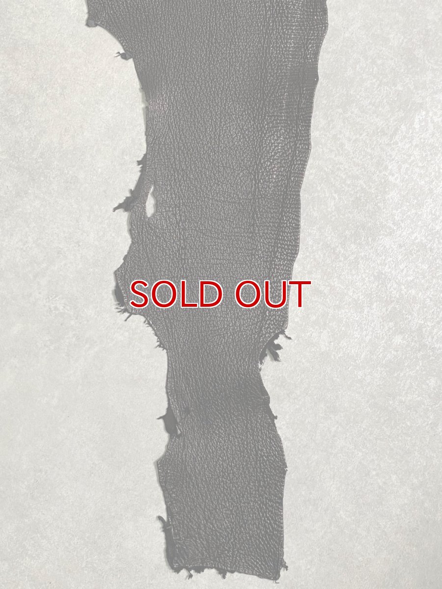 画像5: シャーク　ブラック　鮫革　シャークスキン (5)