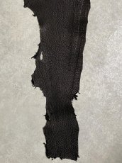 画像5: シャーク　ブラック　鮫革　シャークスキン (5)