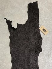 画像3: シャーク　ブラック　鮫革　シャークスキン (3)