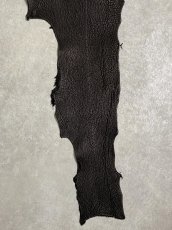 画像5: シャーク　ブラック　鮫革　シャークスキン (5)