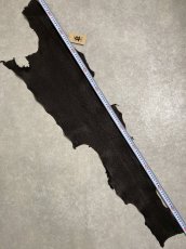 画像7: シャーク　ブラック　鮫革　シャークスキン (7)