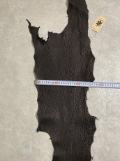 画像8: シャーク　ブラック　鮫革　シャークスキン (8)