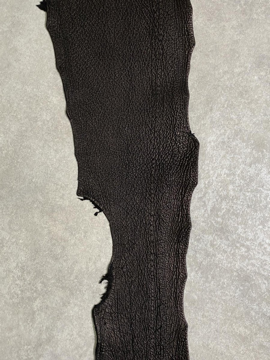 画像4: シャーク　ブラック　鮫革　シャークスキン (4)