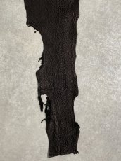 画像5: シャーク　ブラック　鮫革　シャークスキン (5)