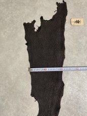 画像8: シャーク　ブラック　鮫革　シャークスキン (8)