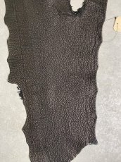 画像2: シャーク　ブラック　鮫革　シャークスキン (2)