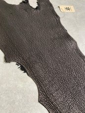 画像6: シャーク　ブラック　鮫革　シャークスキン (6)