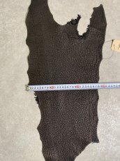 画像7: シャーク　ブラック　鮫革　シャークスキン (7)