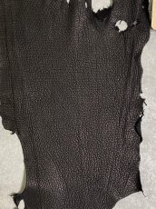 画像2: シャーク　ブラック　鮫革　シャークスキン (2)