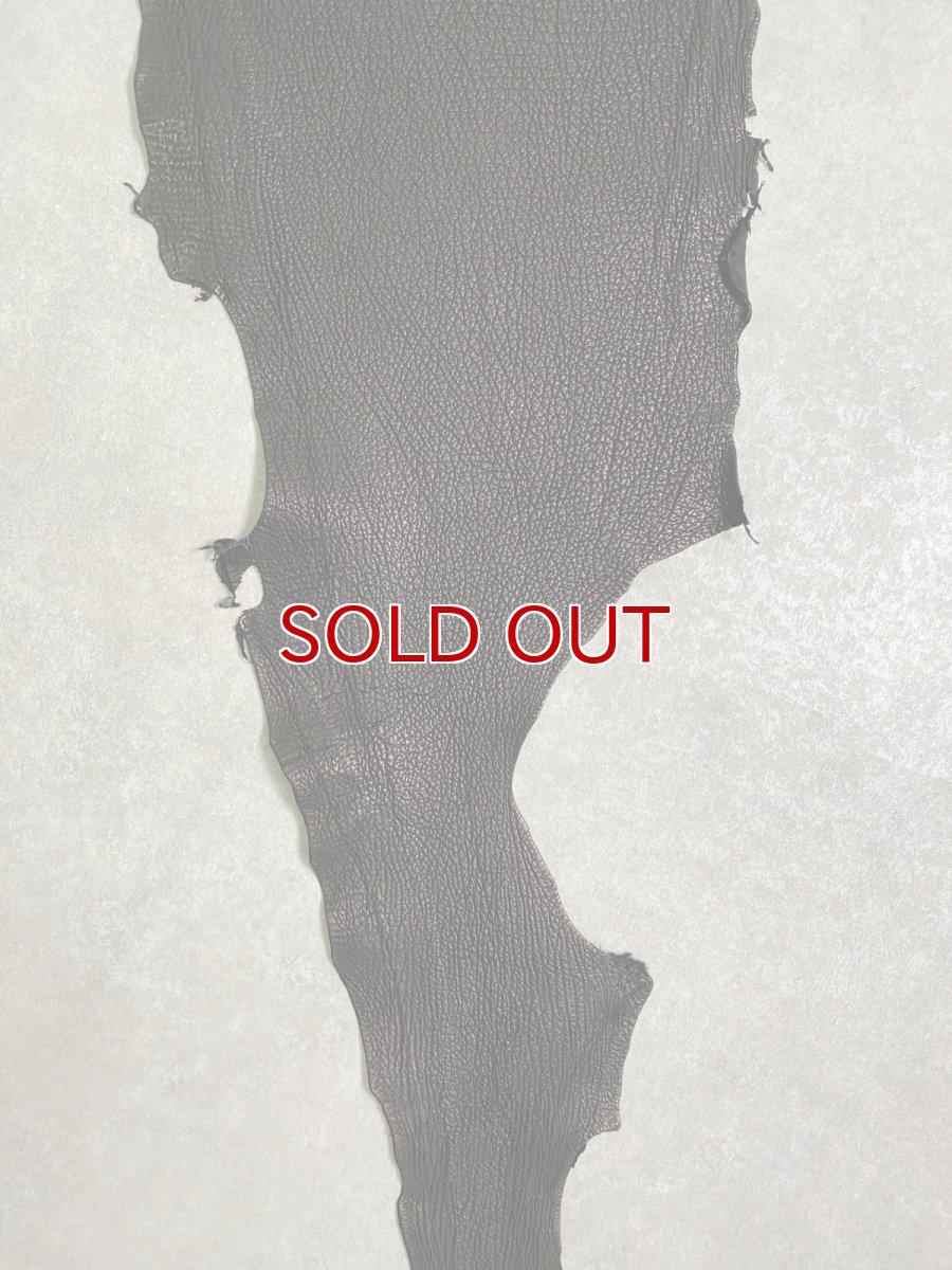 画像4: シャーク　ブラック　鮫革　シャークスキン (4)