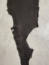 画像4: シャーク　ブラック　鮫革　シャークスキン (4)