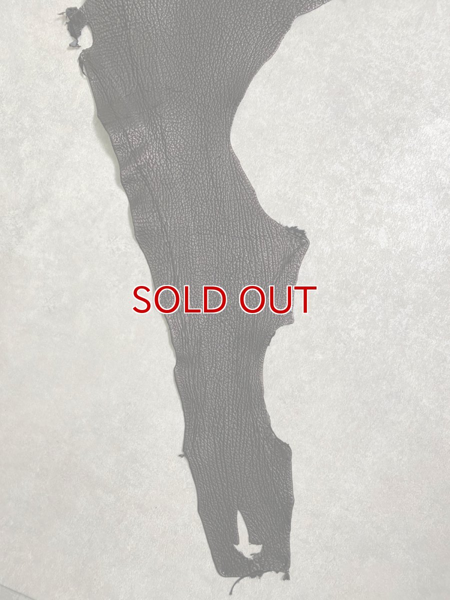 画像5: シャーク　ブラック　鮫革　シャークスキン (5)