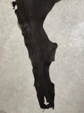 画像5: シャーク　ブラック　鮫革　シャークスキン (5)