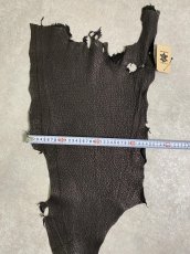 画像8: シャーク　ブラック　鮫革　シャークスキン (8)