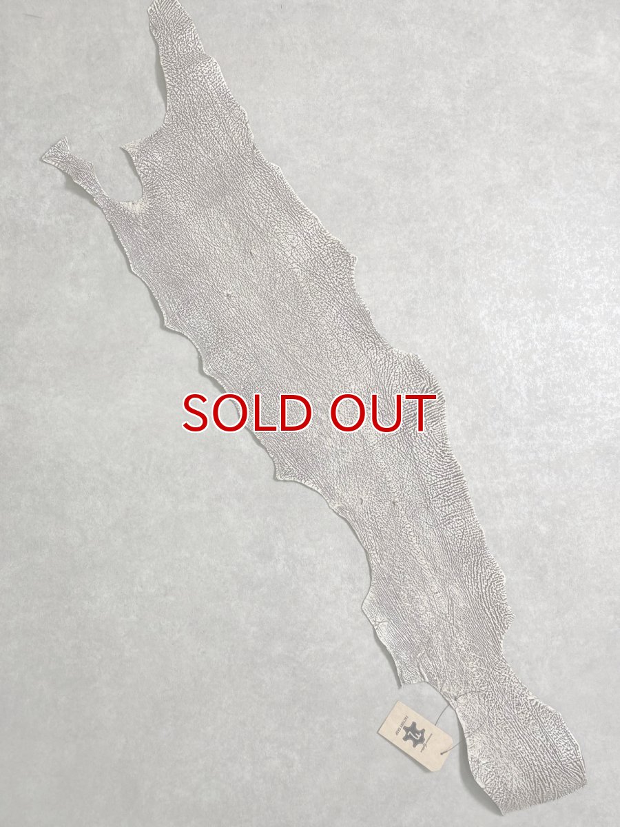 画像1: シャーク　バニラ×茶　サメ革　鮫革　シャークスキン　 (1)