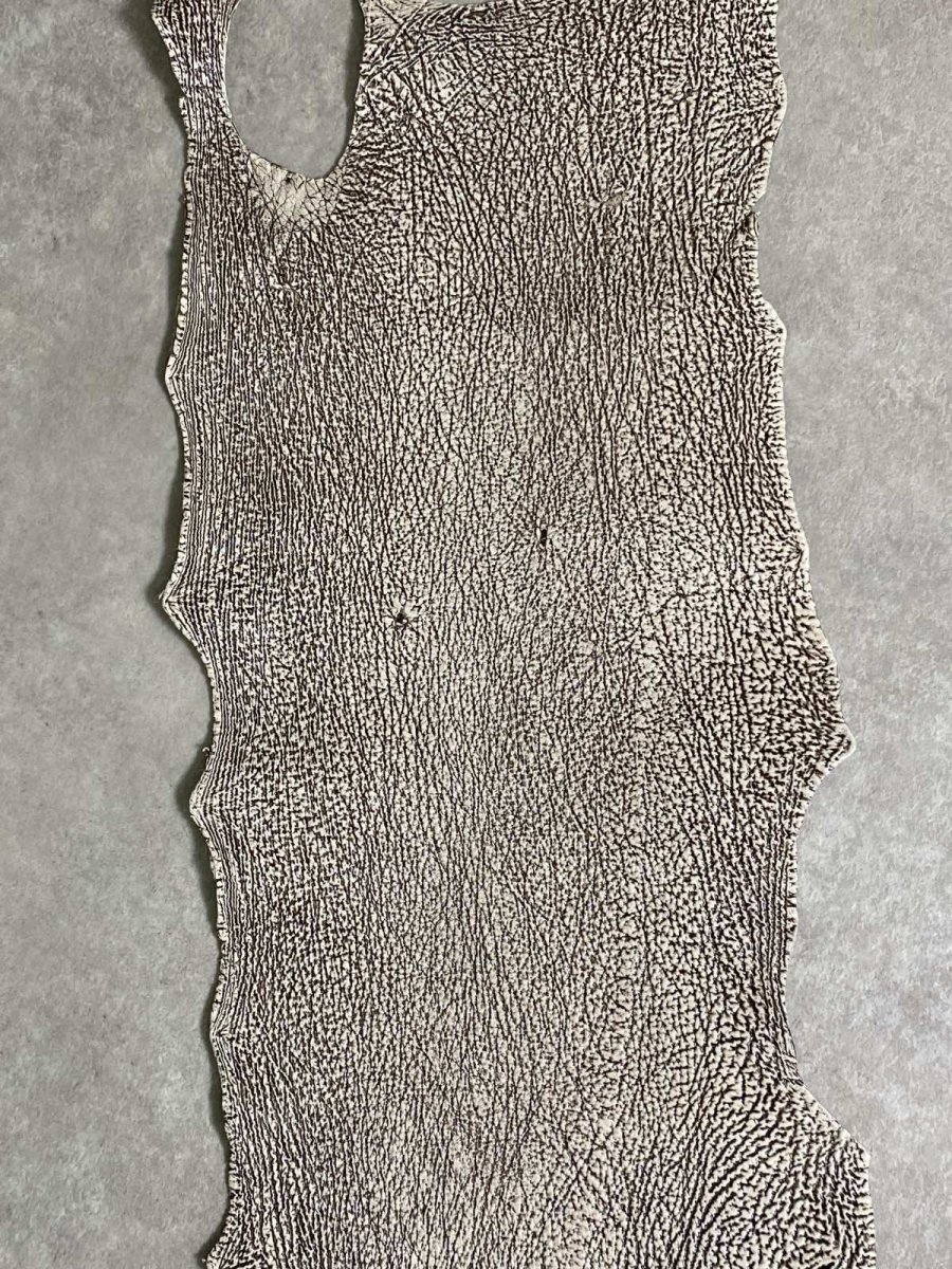 画像7: シャーク　バニラ×茶　サメ革　鮫革　シャークスキン　 (7)