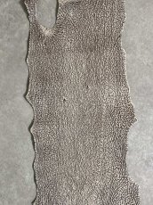 画像7: シャーク　バニラ×茶　サメ革　鮫革　シャークスキン　 (7)