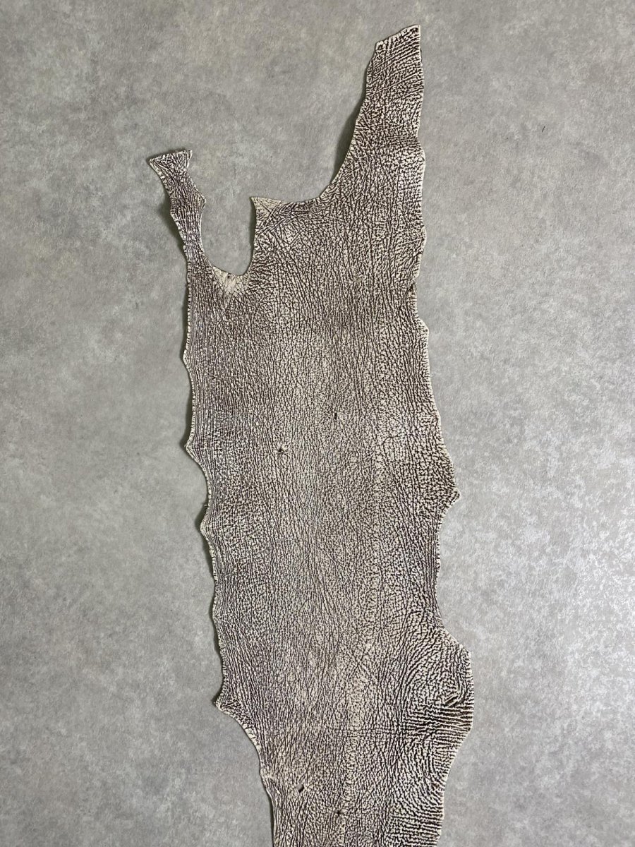 画像4: シャーク　バニラ×茶　サメ革　鮫革　シャークスキン　 (4)