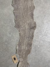 画像5: シャーク　バニラ×茶　サメ革　鮫革　シャークスキン　 (5)