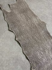画像2: シャーク　バニラ×茶　サメ革　鮫革　シャークスキン　 (2)