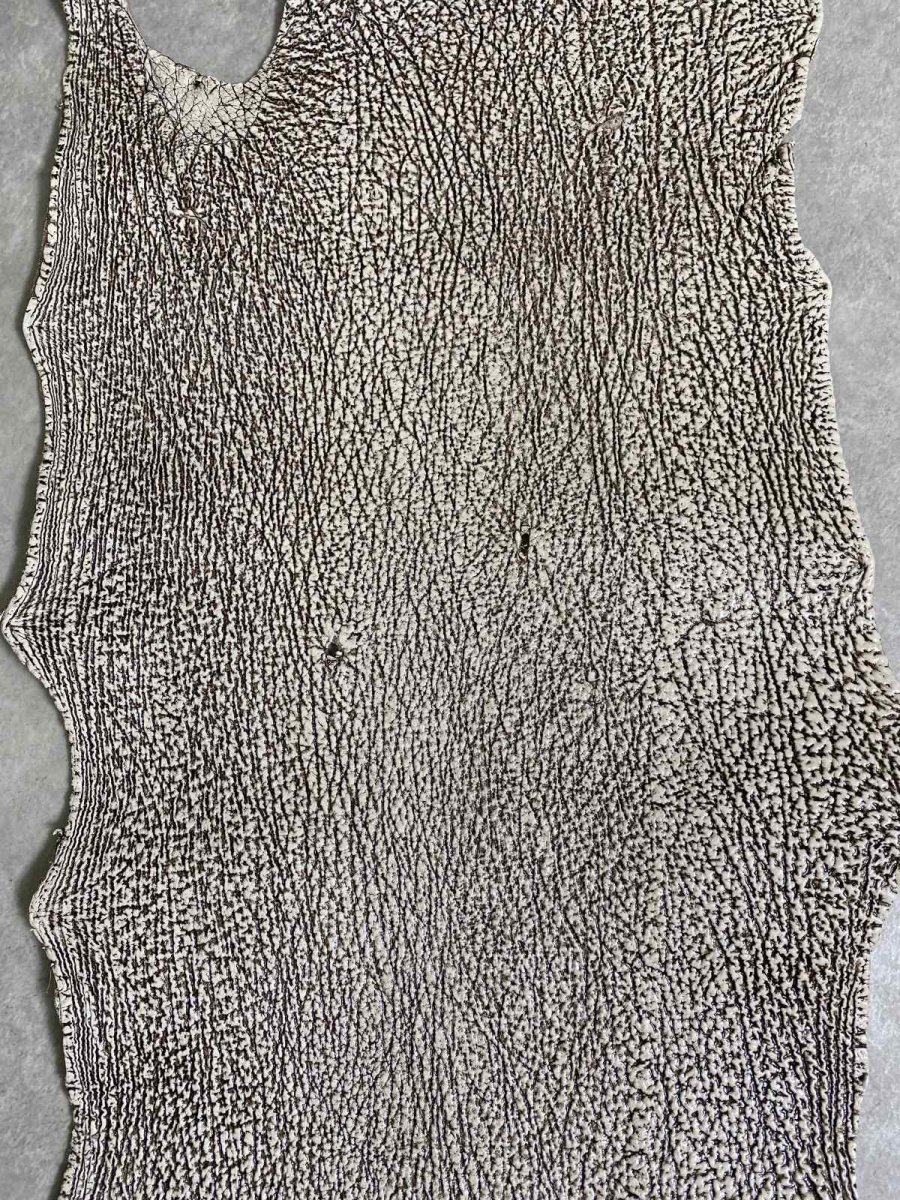 画像3: シャーク　バニラ×茶　サメ革　鮫革　シャークスキン　 (3)