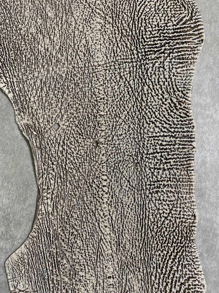 画像8: シャーク　バニラ×茶　サメ革　鮫革　シャークスキン　 (8)