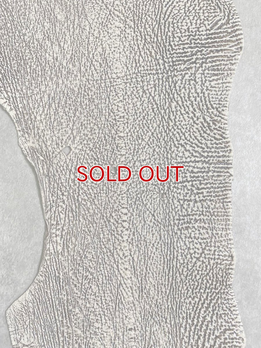 画像8: シャーク　バニラ×茶　サメ革　鮫革　シャークスキン　 (8)