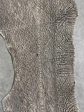 画像8: シャーク　バニラ×茶　サメ革　鮫革　シャークスキン　 (8)