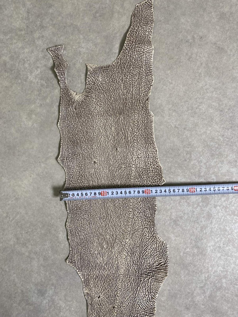 画像9: シャーク　バニラ×茶　サメ革　鮫革　シャークスキン　 (9)