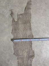 画像9: シャーク　バニラ×茶　サメ革　鮫革　シャークスキン　 (9)