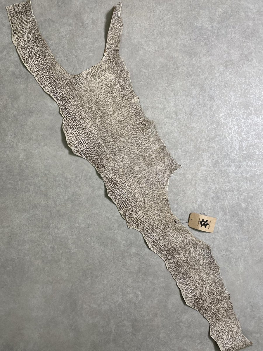 画像1: シャーク　バニラ×茶　サメ革　鮫革　シャークスキン　 (1)