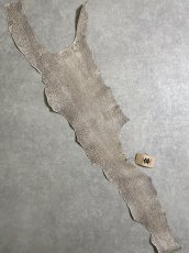 画像1: シャーク　バニラ×茶　サメ革　鮫革　シャークスキン　 (1)