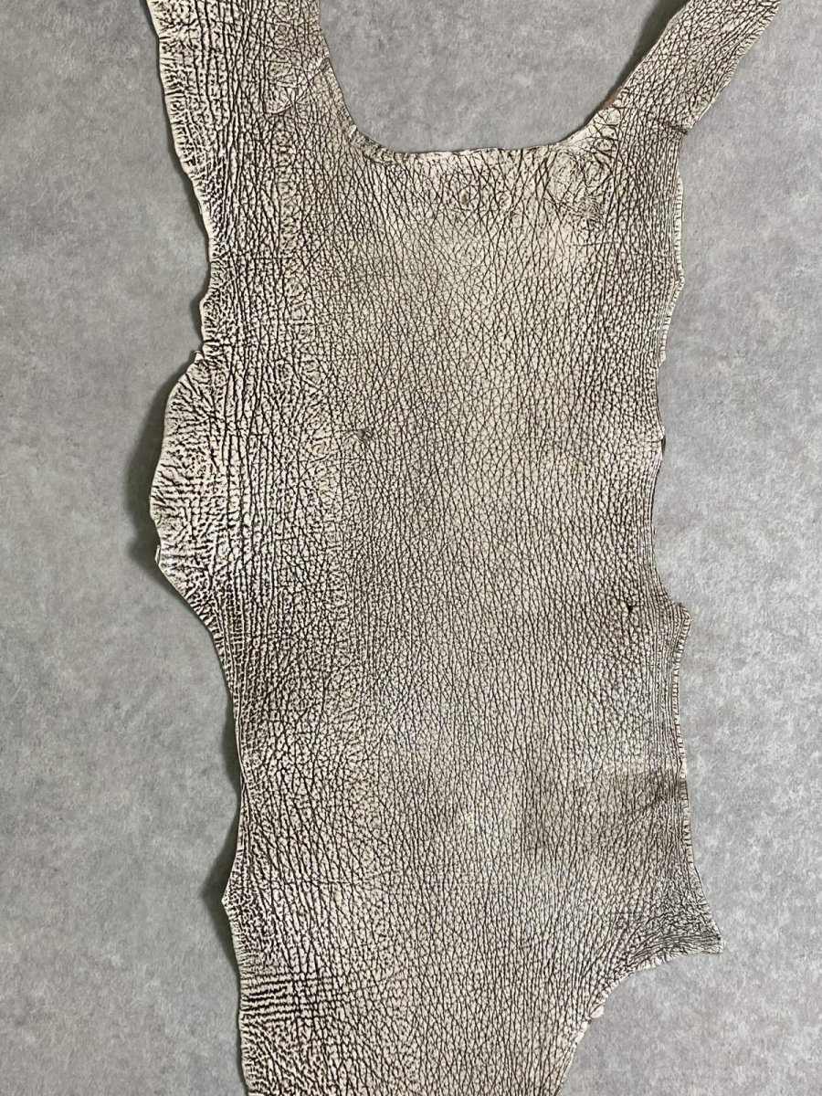 画像2: シャーク　バニラ×茶　サメ革　鮫革　シャークスキン　 (2)