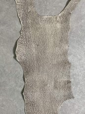 画像2: シャーク　バニラ×茶　サメ革　鮫革　シャークスキン　 (2)