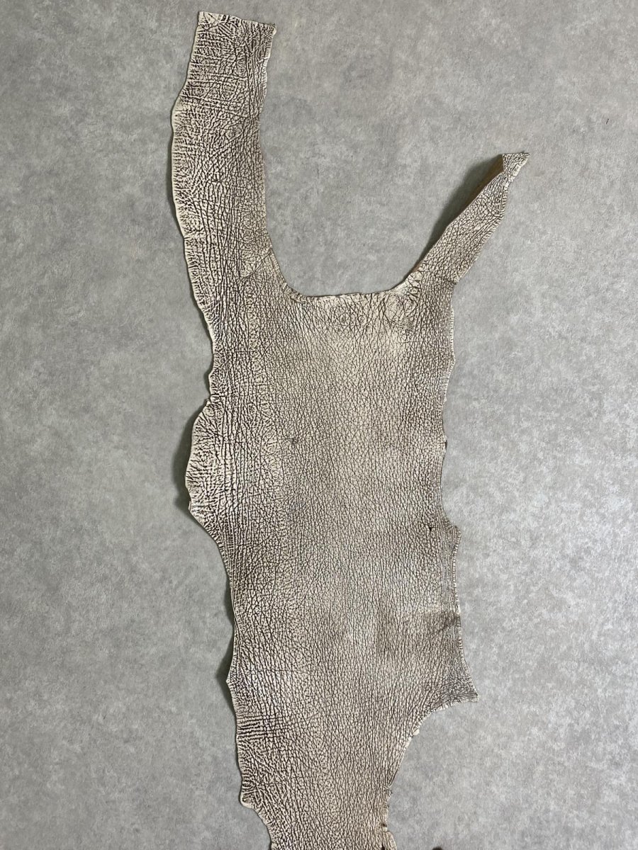 画像3: シャーク　バニラ×茶　サメ革　鮫革　シャークスキン　 (3)