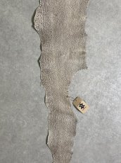 画像4: シャーク　バニラ×茶　サメ革　鮫革　シャークスキン　 (4)