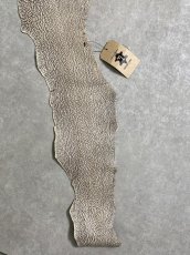 画像5: シャーク　バニラ×茶　サメ革　鮫革　シャークスキン　 (5)