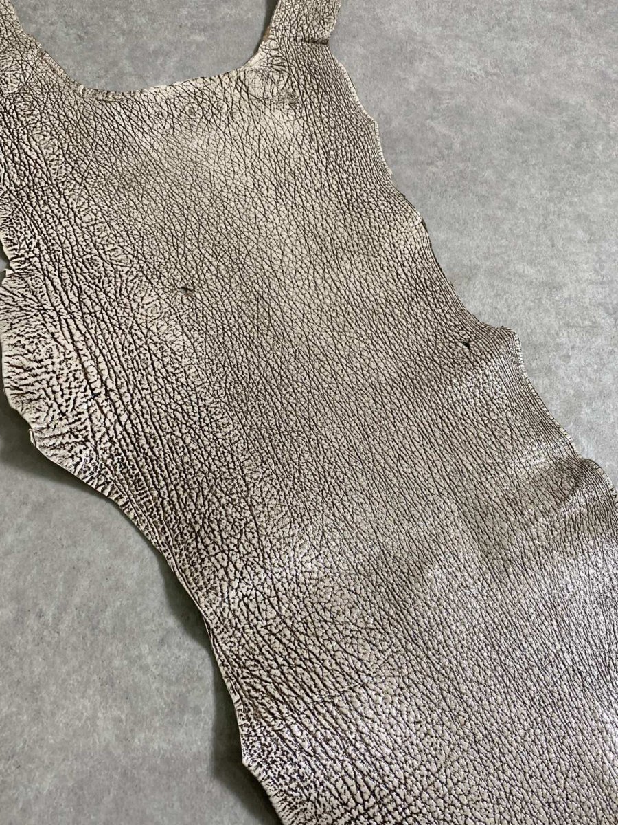 画像6: シャーク　バニラ×茶　サメ革　鮫革　シャークスキン　 (6)