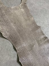 画像6: シャーク　バニラ×茶　サメ革　鮫革　シャークスキン　 (6)