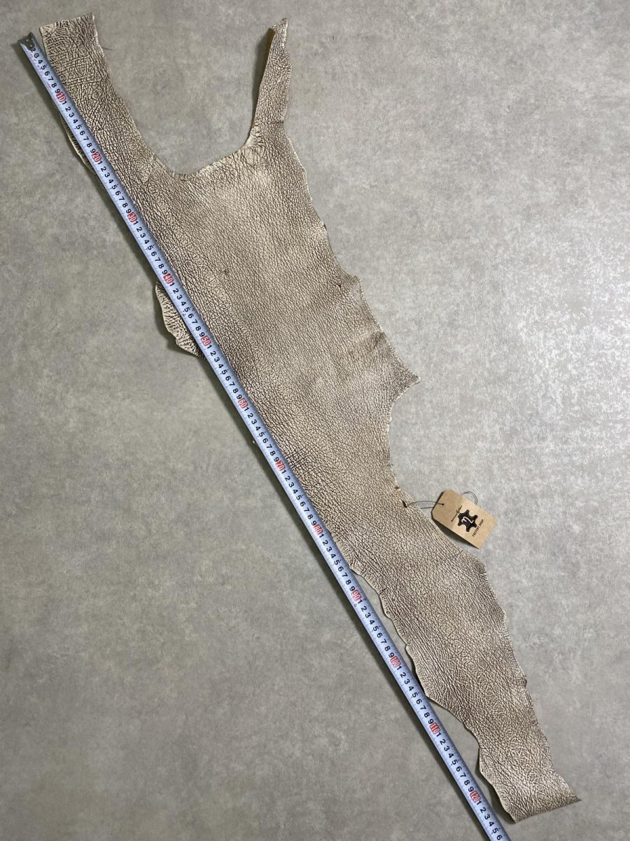 画像7: シャーク　バニラ×茶　サメ革　鮫革　シャークスキン　 (7)