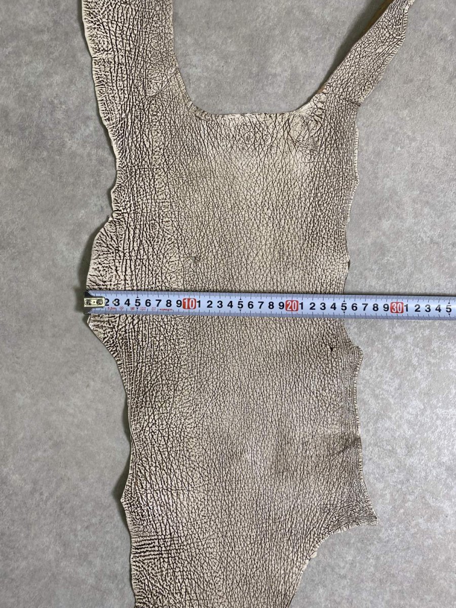 画像8: シャーク　バニラ×茶　サメ革　鮫革　シャークスキン　 (8)