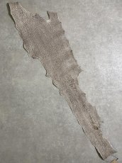 画像1: シャーク　バニラ×茶　サメ革　鮫革　シャークスキン　 (1)