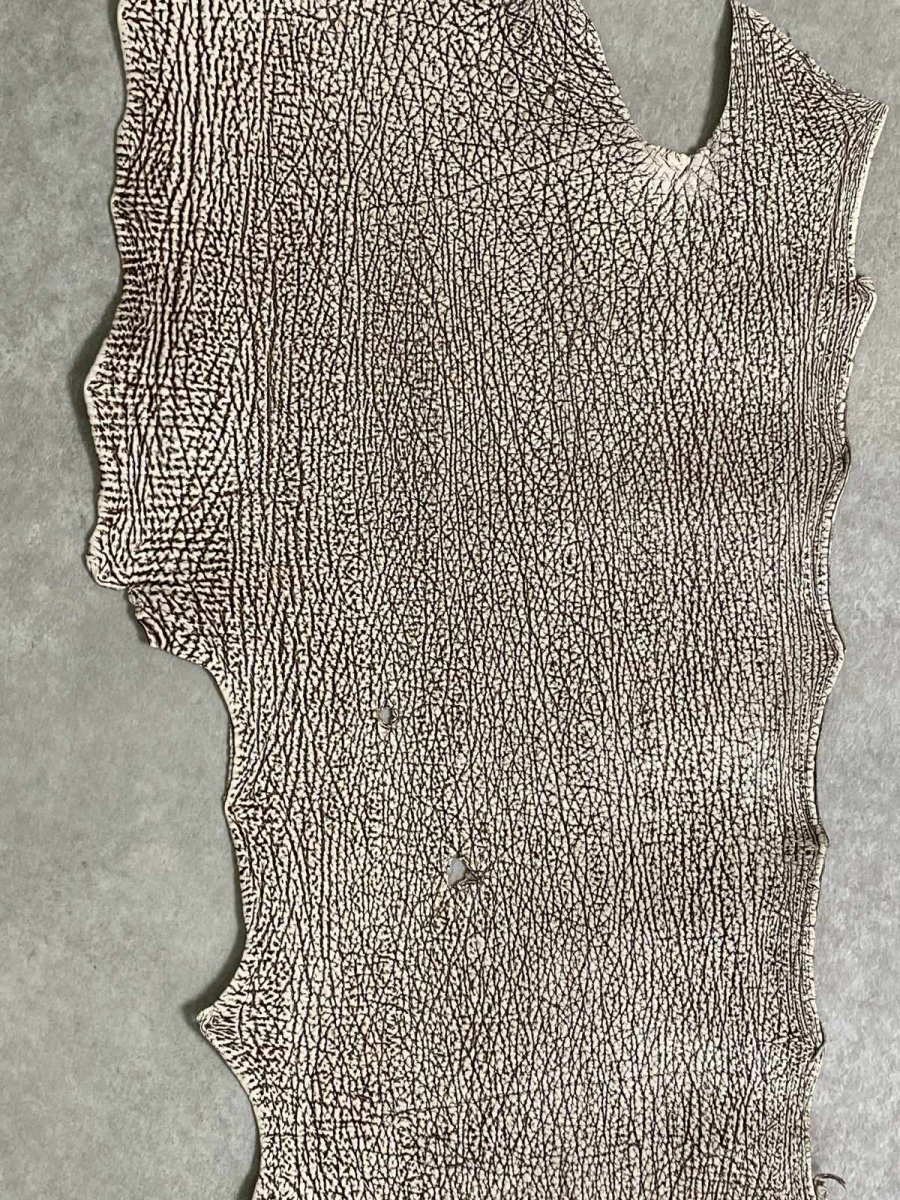 画像2: シャーク　バニラ×茶　サメ革　鮫革　シャークスキン　 (2)