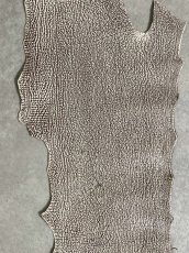 画像2: シャーク　バニラ×茶　サメ革　鮫革　シャークスキン　 (2)