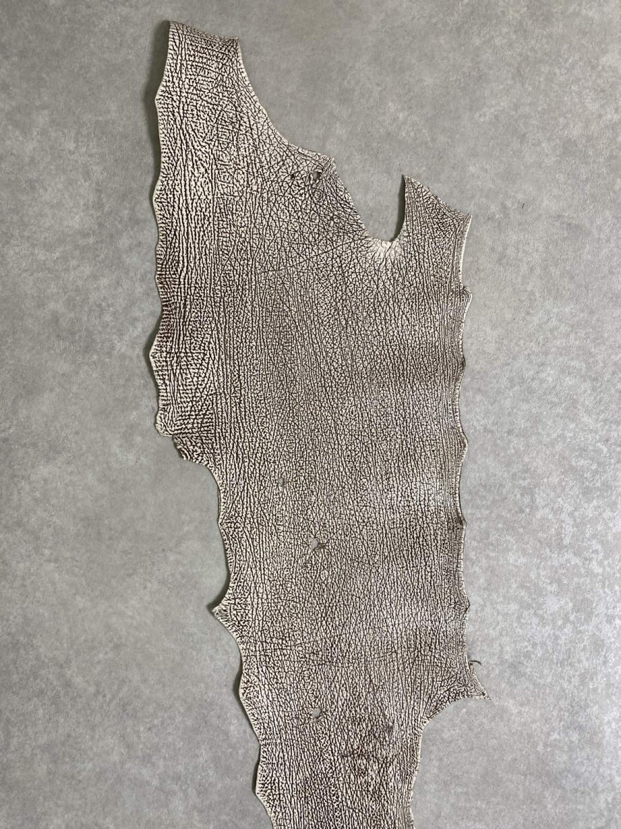 画像3: シャーク　バニラ×茶　サメ革　鮫革　シャークスキン　 (3)