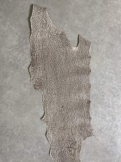 画像3: シャーク　バニラ×茶　サメ革　鮫革　シャークスキン　 (3)