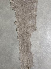 画像4: シャーク　バニラ×茶　サメ革　鮫革　シャークスキン　 (4)