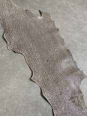 画像6: シャーク　バニラ×茶　サメ革　鮫革　シャークスキン　 (6)