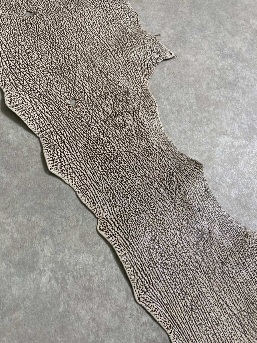 画像7: シャーク　バニラ×茶　サメ革　鮫革　シャークスキン　 (7)