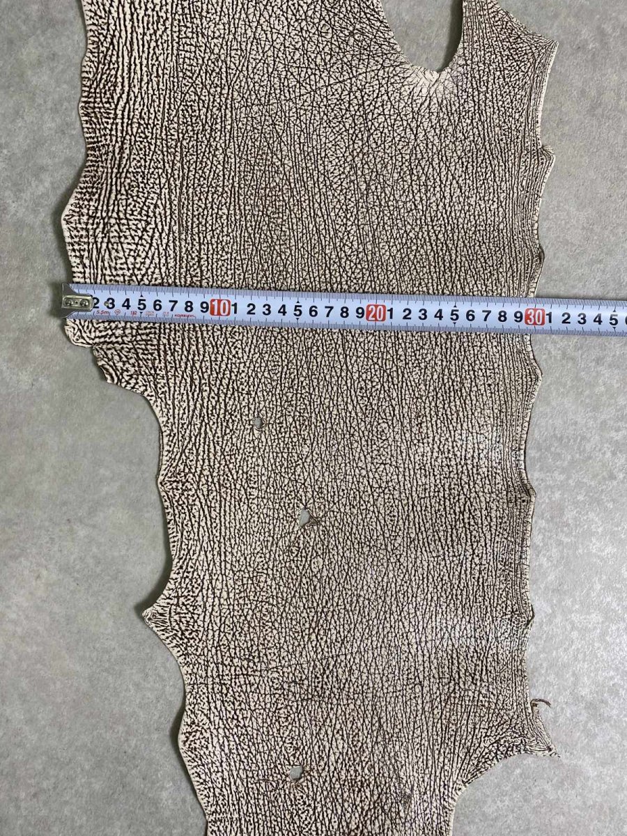 画像8: シャーク　バニラ×茶　サメ革　鮫革　シャークスキン　 (8)